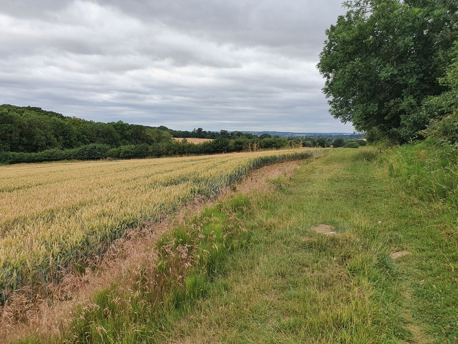 Fields near Gernon Bushes